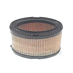 AIR FILTER FITS/REPL. Tecumseh HM70 VM80 HM80 H80 HM100 33268